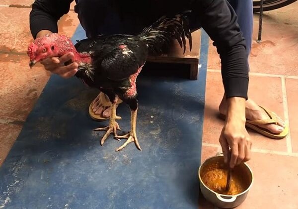 chi tiết từng công dụng