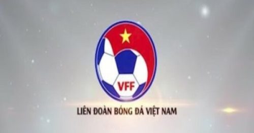 VFF là gì? Vai trò của Liên Đoàn Bóng Đá Việt Nam
