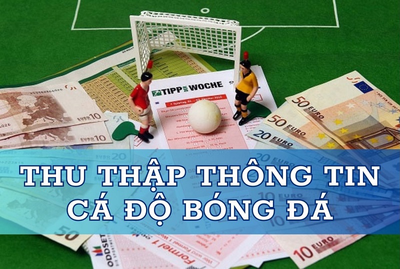 Thu thập thông tin khi cá độ bóng đá