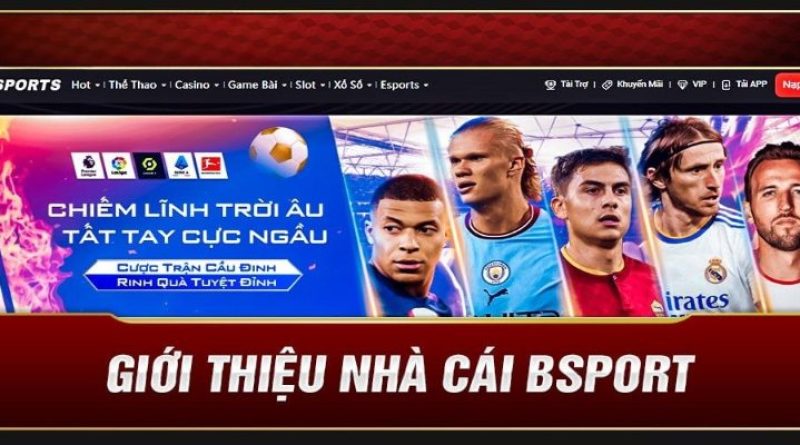 Bsports – Nhà Cái Giải Trí Online Uy Tín Hàng Đầu Việt Nam