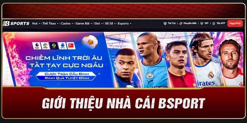 Giới thiệu sơ lược về nhà cái Bsport 