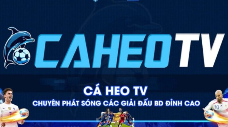 Caheolive – Những lý do kênh trực tiếp bóng đá Caheo ra đời