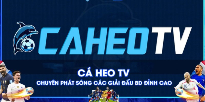 Sơ lược về kênh trực tiếp bóng đá Caheo ra đời