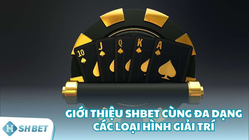 Giới thiệu SHBET cùng đa dạng các loại hình giải trí