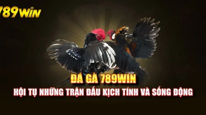 Đá gà 789Win – Sân chơi chọi kê đẳng cấp nhất mọi thời đại