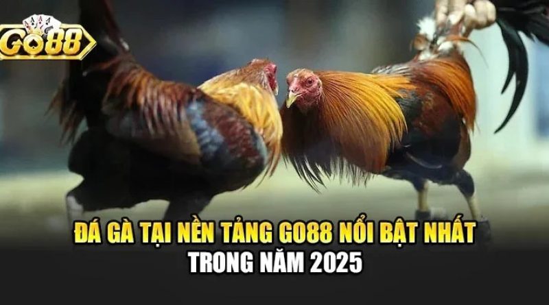 Đá gà Go88 – Trực tiếp các trận đá gà hot nhất hôm nay